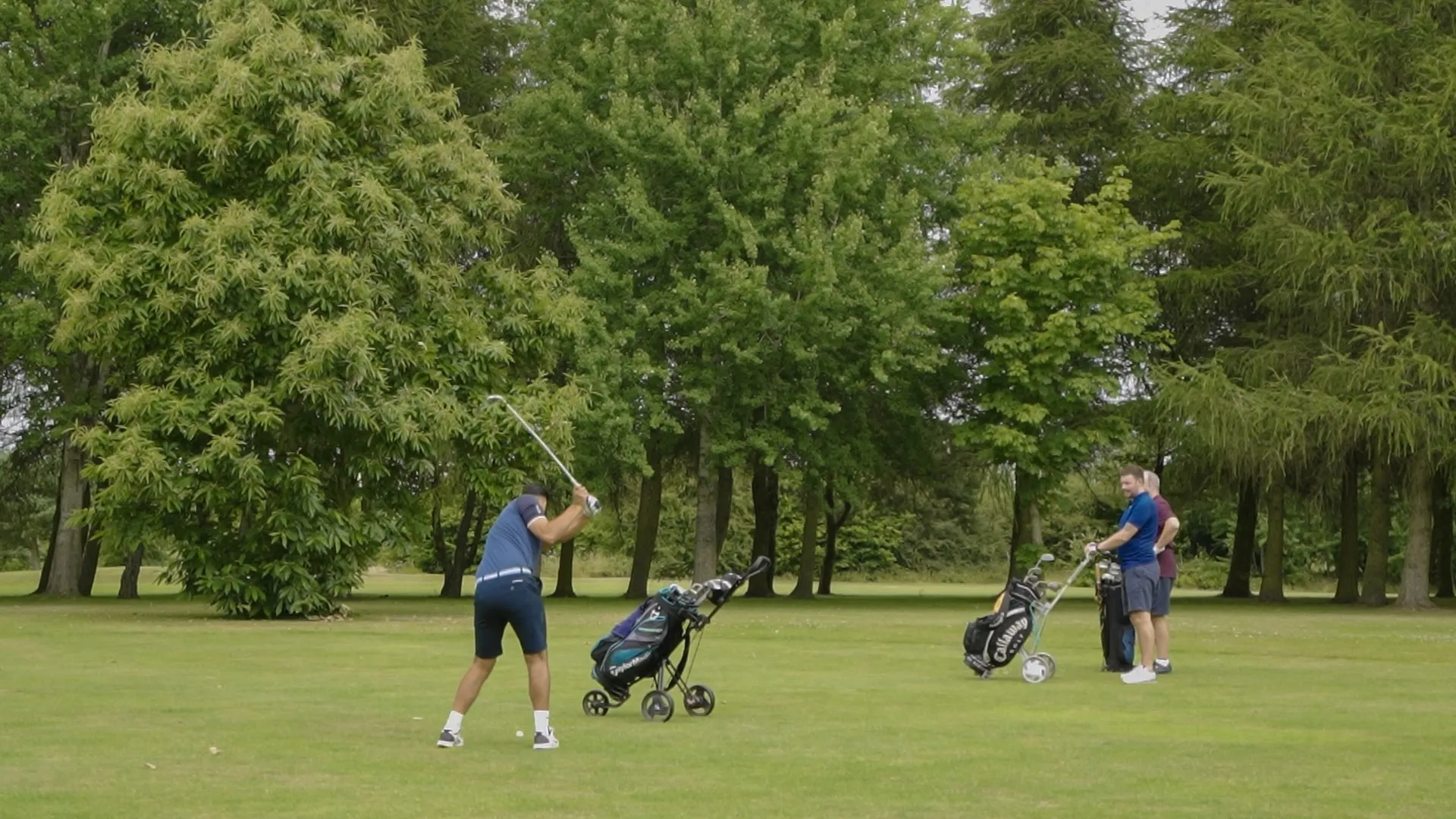 Golf Club Perton Park